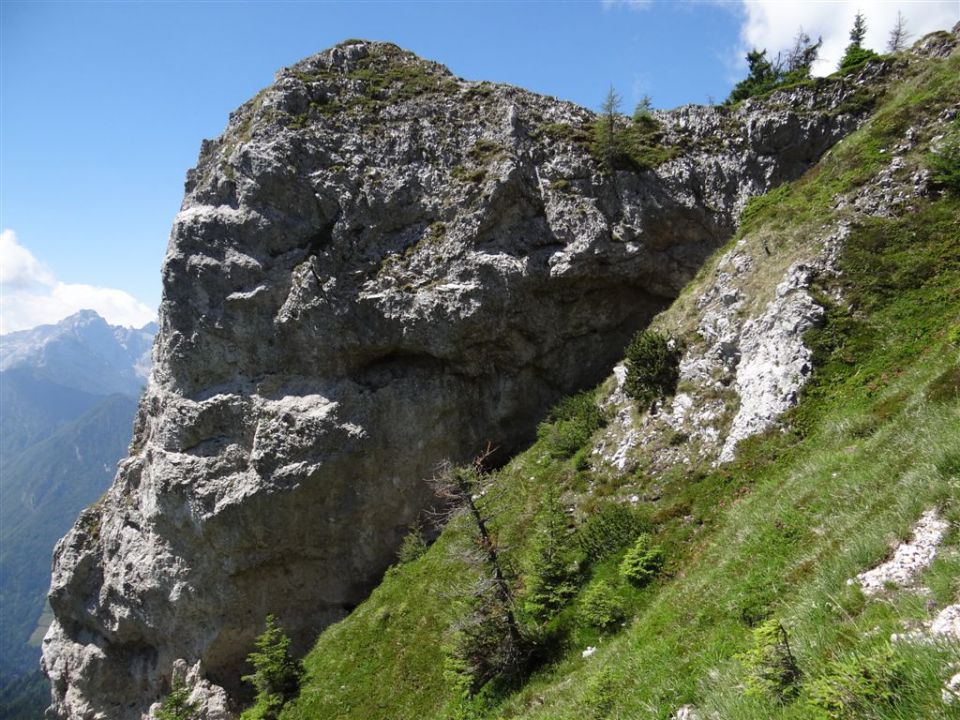 OLJŠEVA, 1929 m, 8.7.2012 - foto povečava