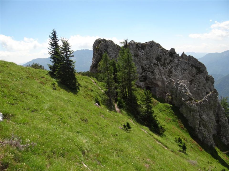 OLJŠEVA, 1929 m, 8.7.2012 - foto povečava