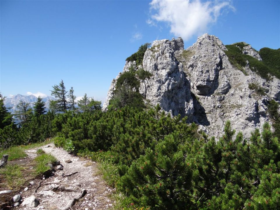 OLJŠEVA, 1929 m, 8.7.2012 - foto povečava