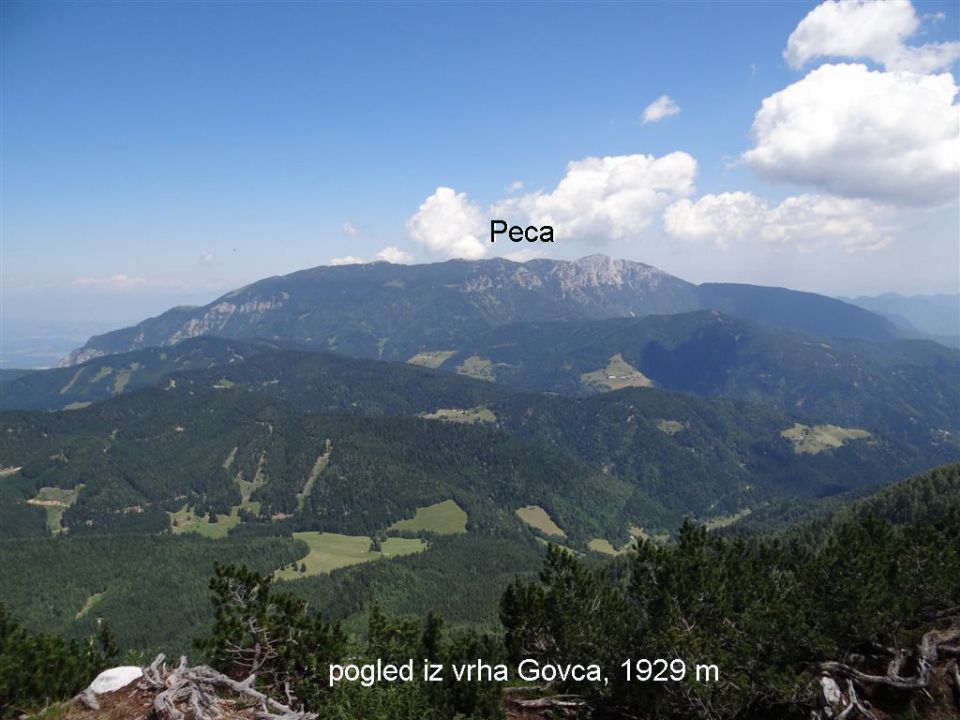 OLJŠEVA, 1929 m, 8.7.2012 - foto povečava