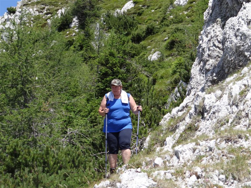 OLJŠEVA, 1929 m, 8.7.2012 - foto povečava