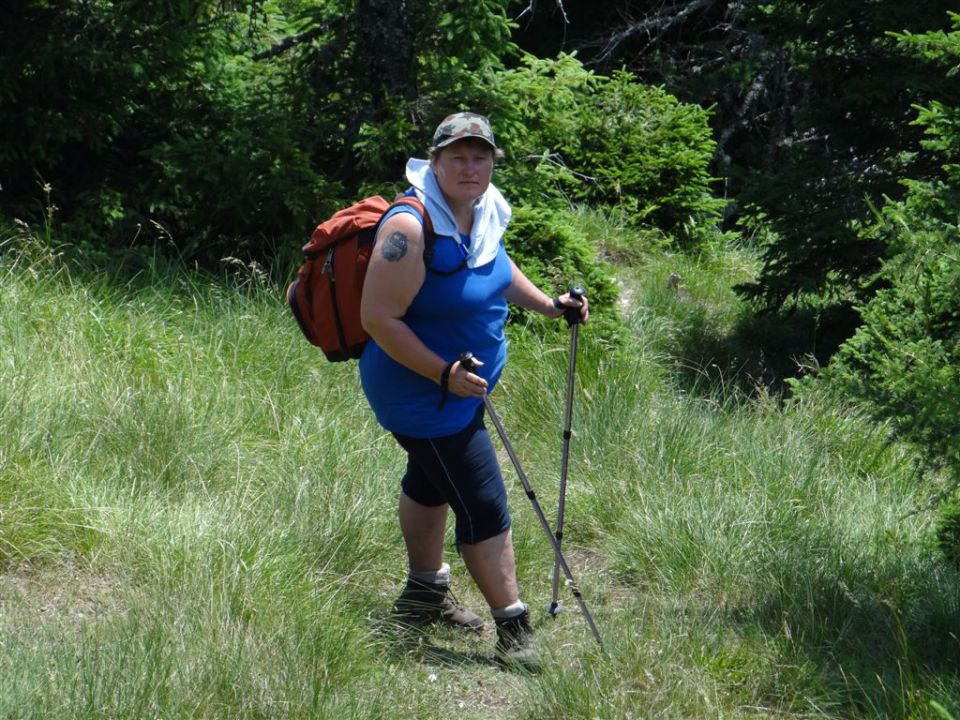 OLJŠEVA, 1929 m, 8.7.2012 - foto povečava