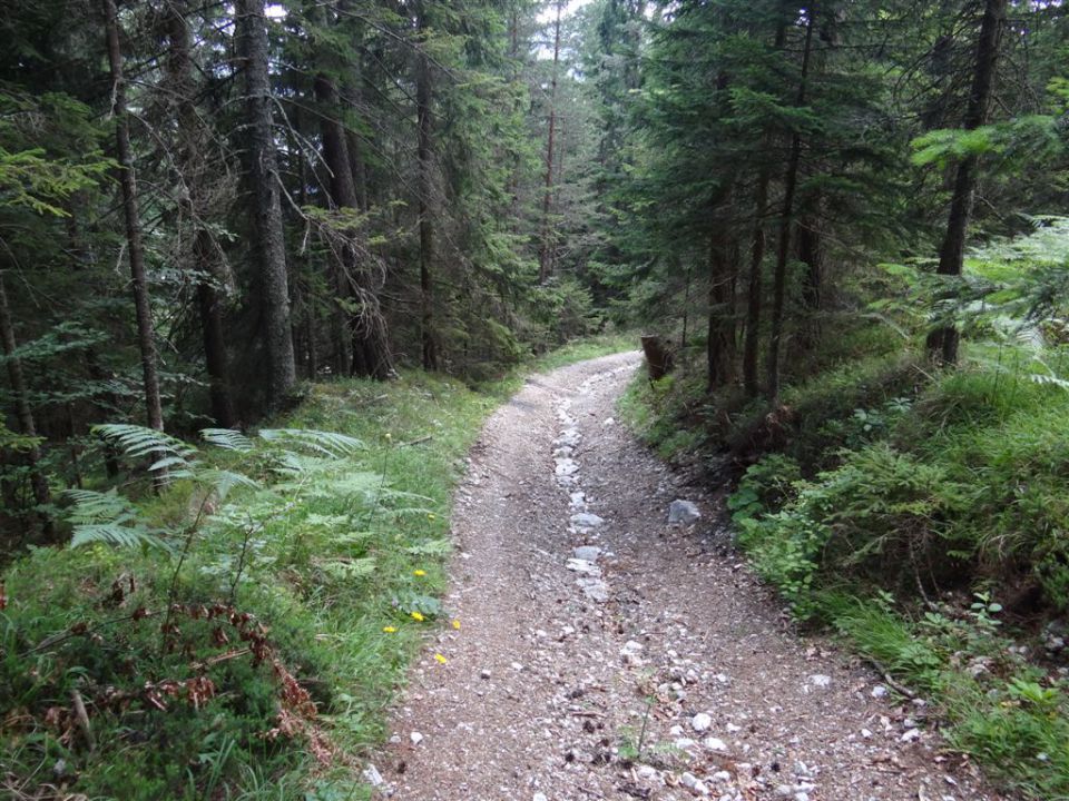 OLJŠEVA, 1929 m, 8.7.2012 - foto povečava