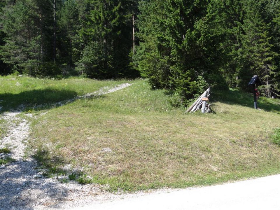 OLJŠEVA, 1929 m, 8.7.2012 - foto povečava