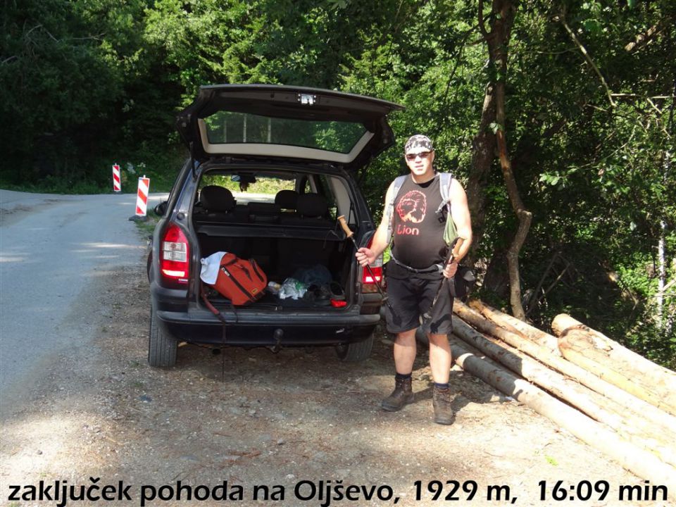 OLJŠEVA, 1929 m, 8.7.2012 - foto povečava