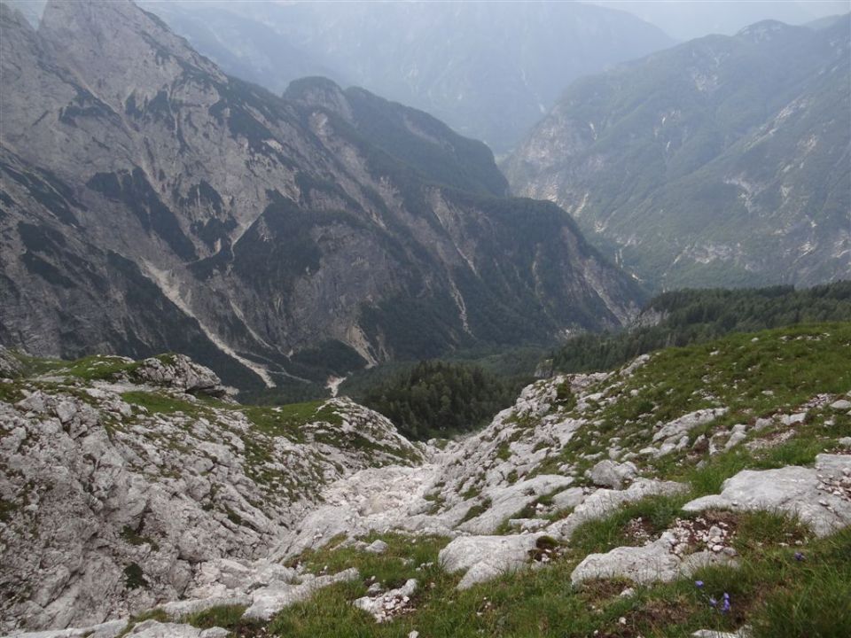 PRISOJNIK, 2547 m, 29.7.2012 - foto povečava