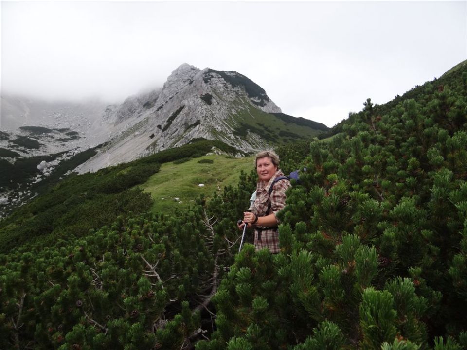 STOL in BEGUNJŠČICA, 2012 - foto povečava