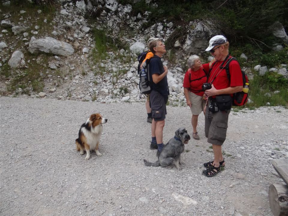 STOL in BEGUNJŠČICA, 2012 - foto povečava