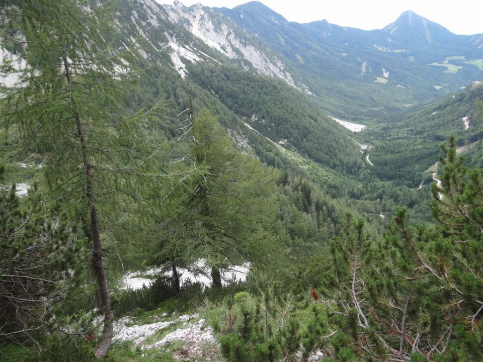 STOL in BEGUNJŠČICA, 2012 - foto povečava