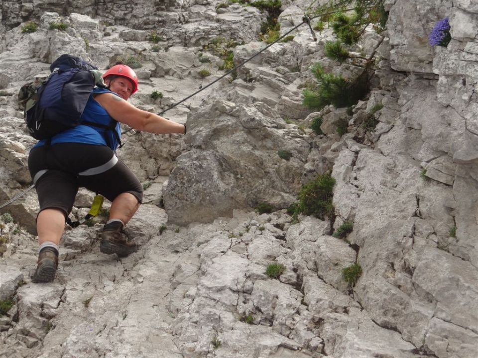 STOL in BEGUNJŠČICA, 2012 - foto povečava