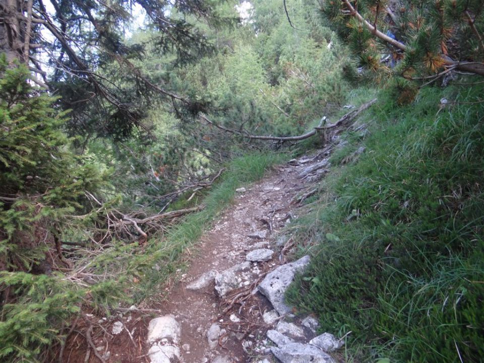 ŠPIK, 2472 m, 12.8.2012 - foto povečava