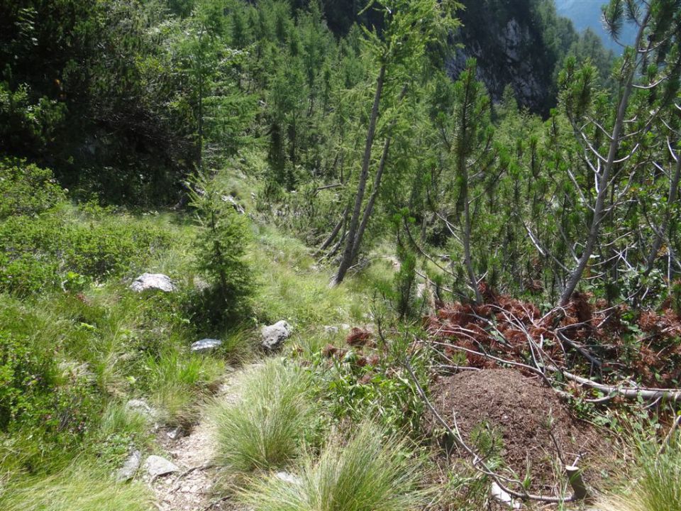 ŠPIK, 2472 m, 12.8.2012 - foto povečava