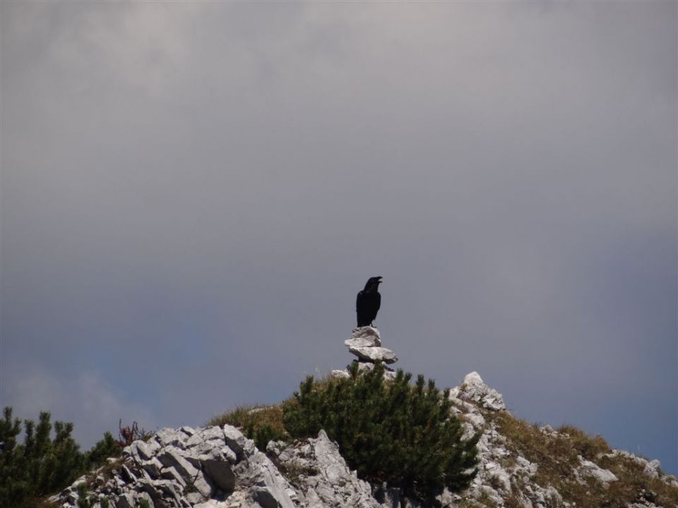 STORŽIČ (2132 m), 19.8.2012 - foto povečava