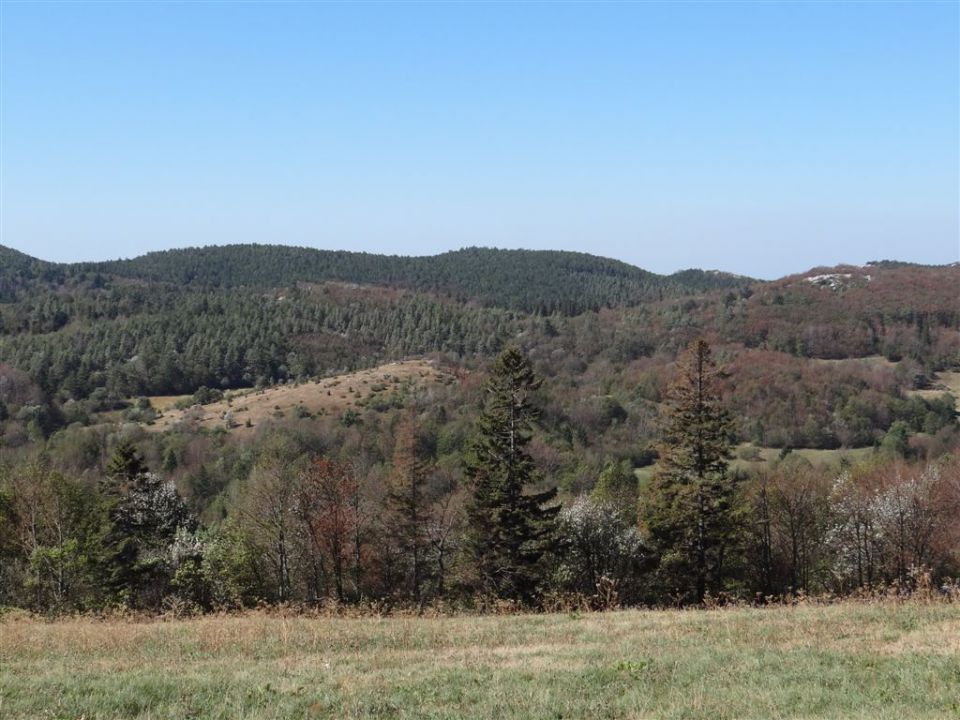 GRADIŠKA TURA (Vipava-Abram) 9.9.2012 - foto povečava