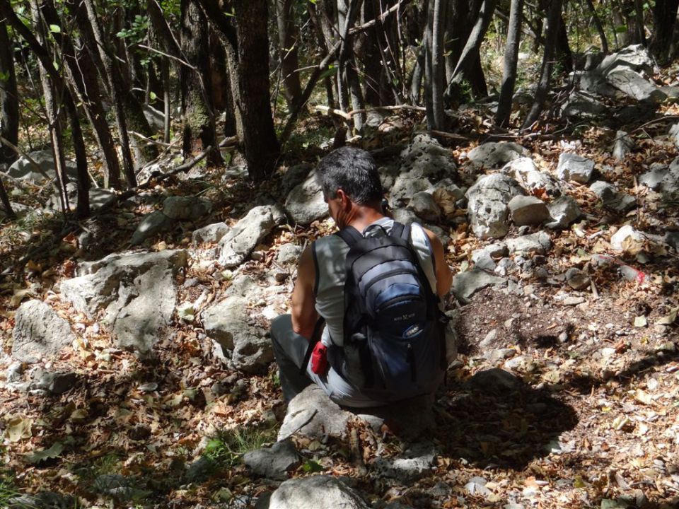 GRADIŠKA TURA (Vipava-Abram) 9.9.2012 - foto povečava