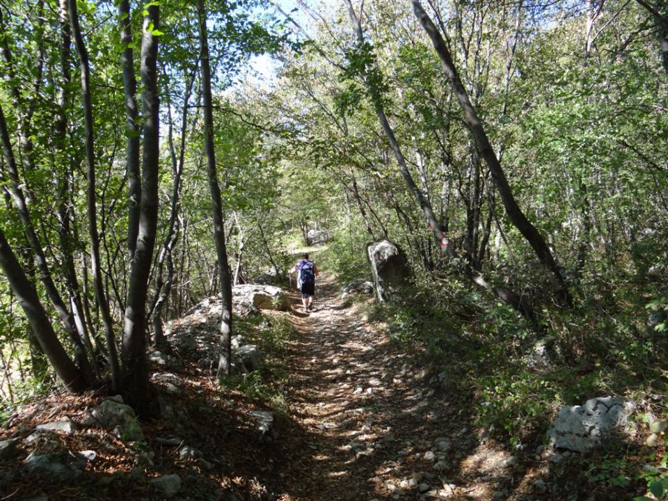 GRADIŠKA TURA (Vipava-Abram) 9.9.2012 - foto povečava