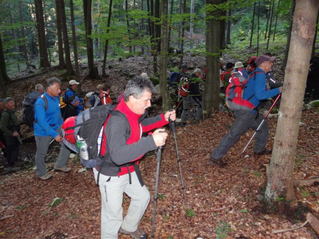 MARTULJŠKI SLAPOVI in RUTARSKI VRŠIČ - foto