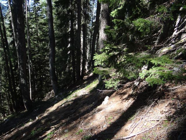 MARTULJŠKI SLAPOVI in RUTARSKI VRŠIČ - foto