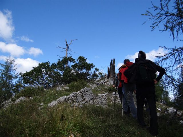 MARTULJŠKI SLAPOVI in RUTARSKI VRŠIČ - foto