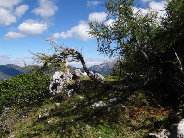 MARTULJŠKI SLAPOVI in RUTARSKI VRŠIČ - foto