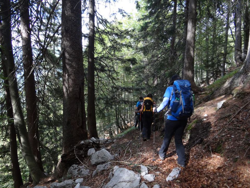 MARTULJŠKI SLAPOVI in RUTARSKI VRŠIČ - foto povečava