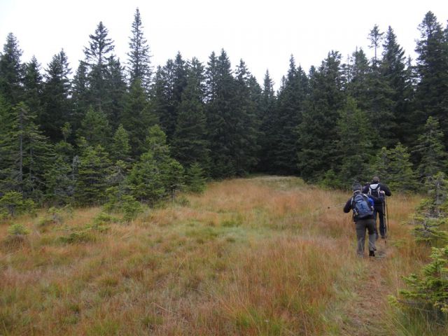 ROGLA-LOVRENŠKA JEZERA-RIBNIŠKA KOČA - foto