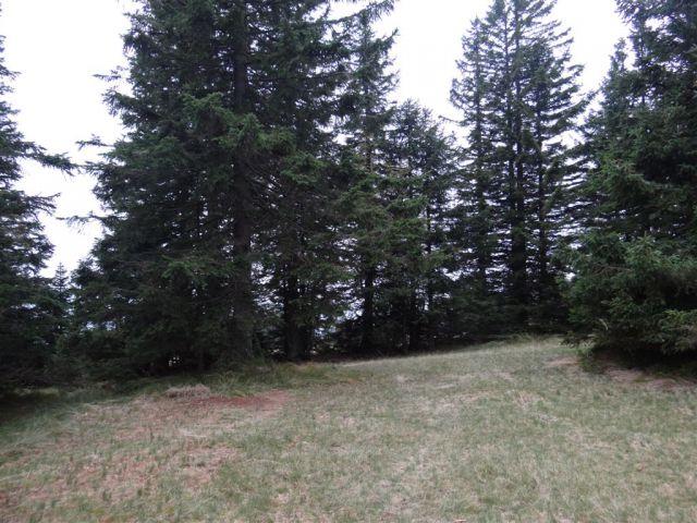 ROGLA-LOVRENŠKA JEZERA-RIBNIŠKA KOČA - foto