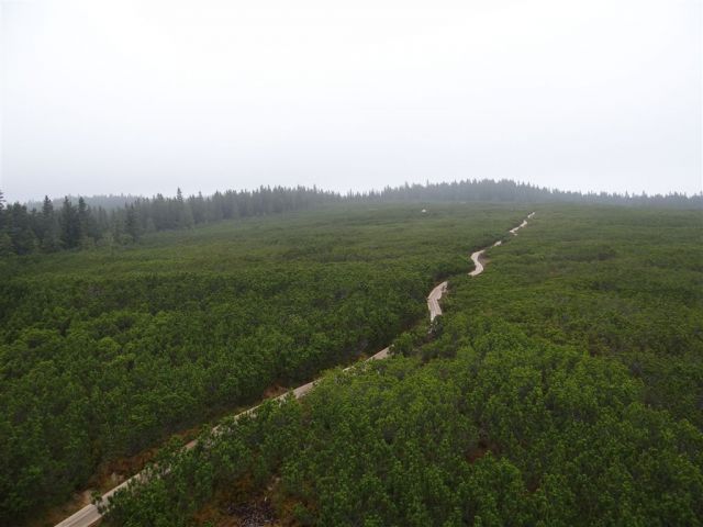 ROGLA-LOVRENŠKA JEZERA-RIBNIŠKA KOČA - foto