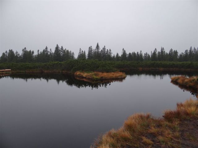 ROGLA-LOVRENŠKA JEZERA-RIBNIŠKA KOČA - foto