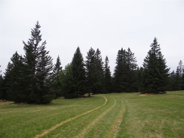 ROGLA-LOVRENŠKA JEZERA-RIBNIŠKA KOČA - foto