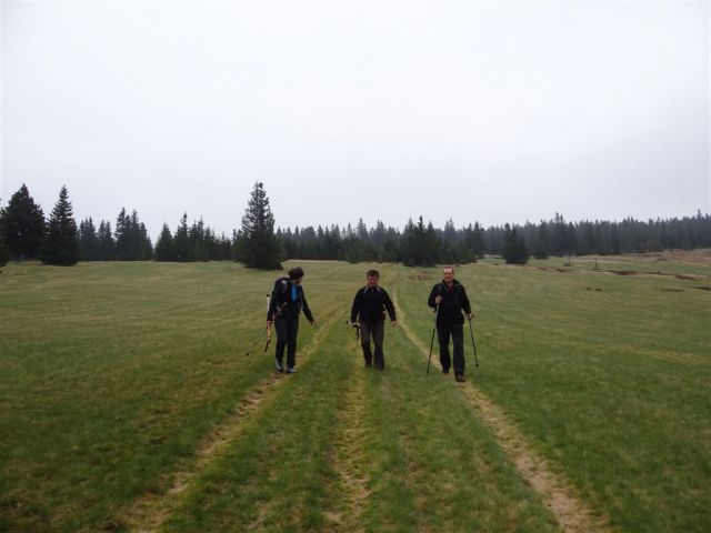 ROGLA-LOVRENŠKA JEZERA-RIBNIŠKA KOČA - foto