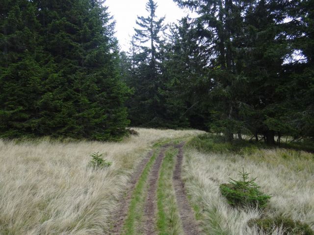ROGLA-LOVRENŠKA JEZERA-RIBNIŠKA KOČA - foto