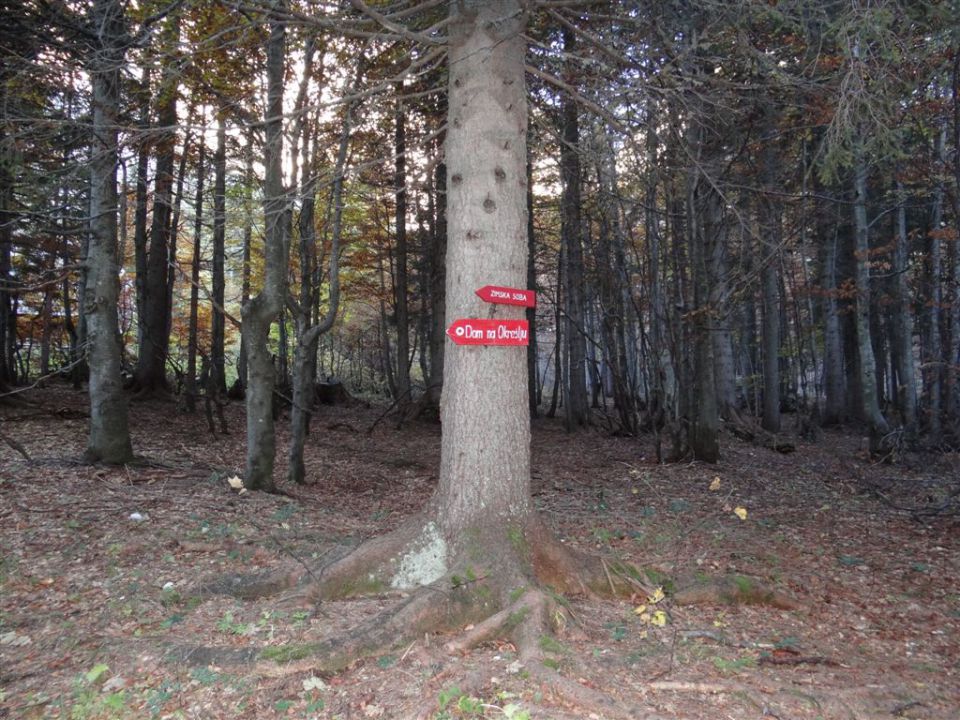 MRZLA GORA, 2203 m, 6.10.2012 - foto povečava