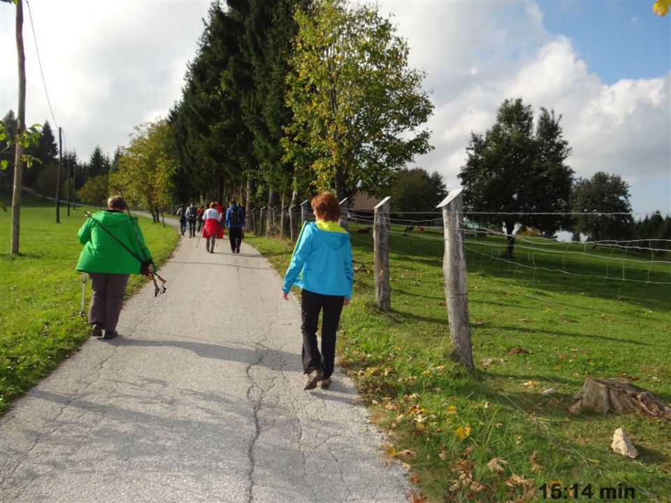 KOSTANJEV PIKNIK, in pohod, 14.10.2012 - foto povečava