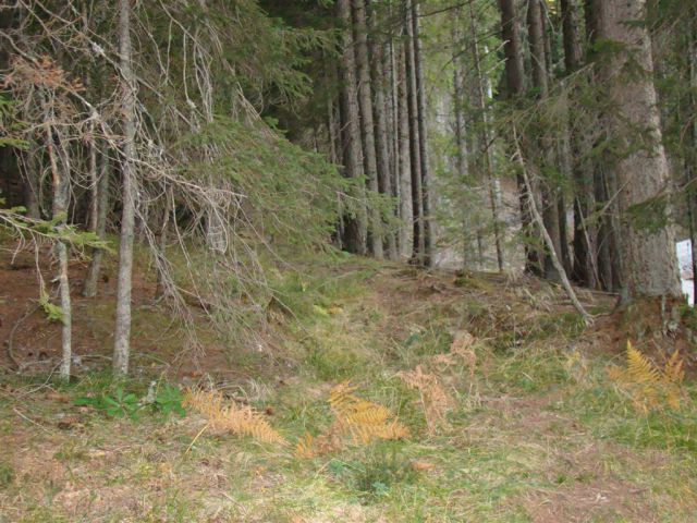 OLŠEVA, 1929 m, 21.10.2012 - foto