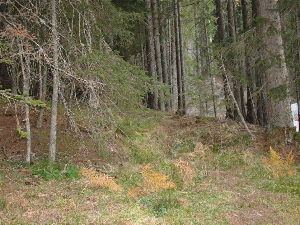 OLŠEVA, 1929 m, 21.10.2012 - foto povečava