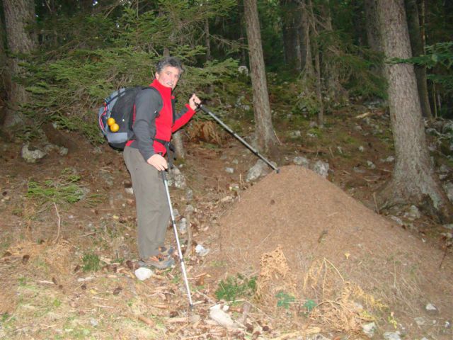 OLŠEVA, 1929 m, 21.10.2012 - foto