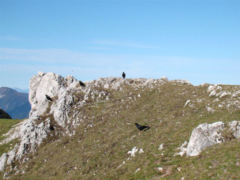 OLŠEVA, 1929 m, 21.10.2012 - foto povečava