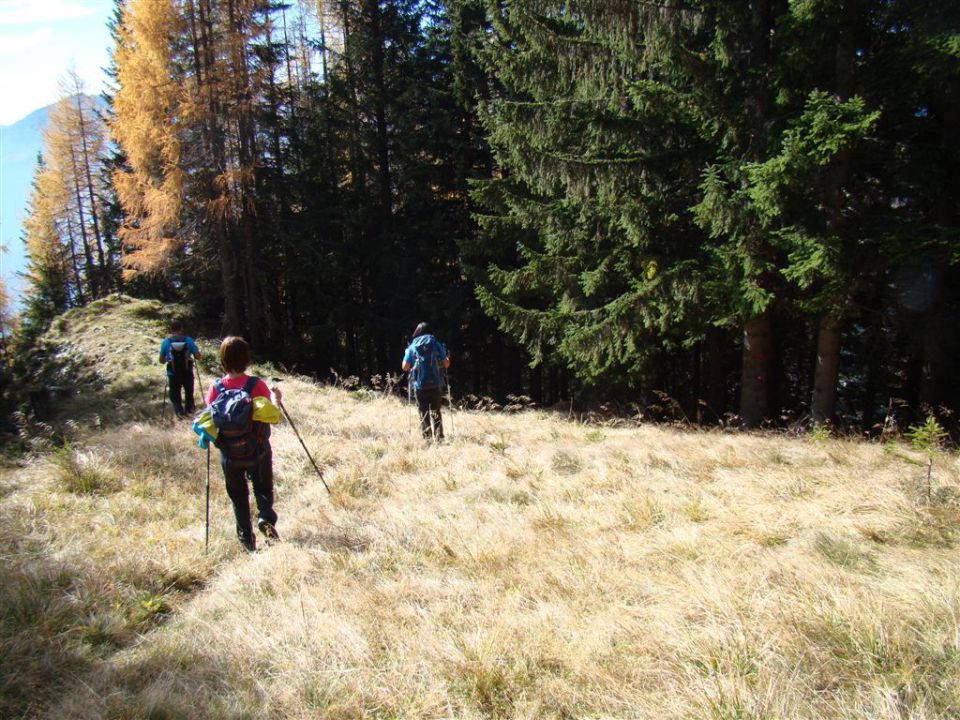 OLŠEVA, 1929 m, 21.10.2012 - foto povečava