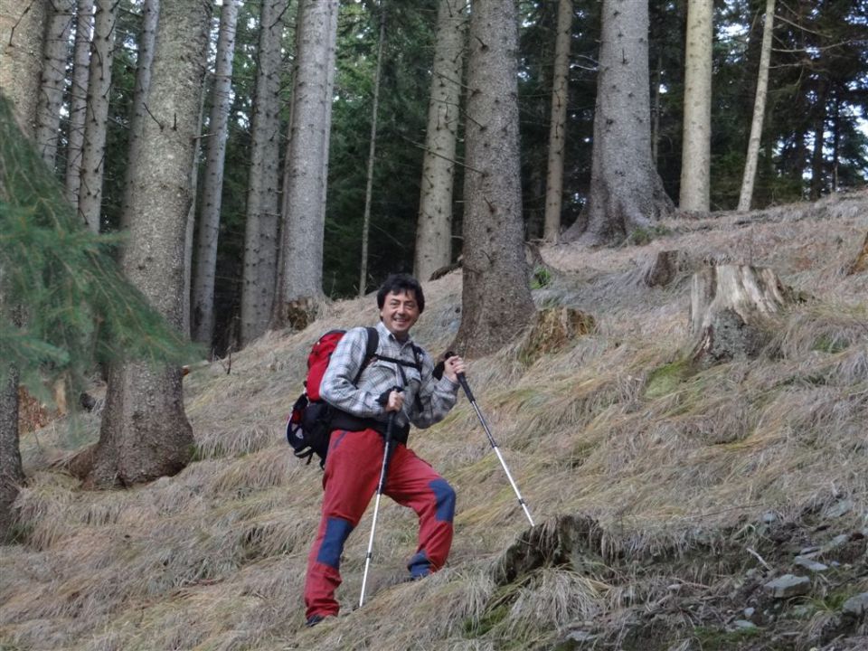 Pl. KOFCE in VELIKI VRH, 2088 m, 18.11.2012 - foto povečava