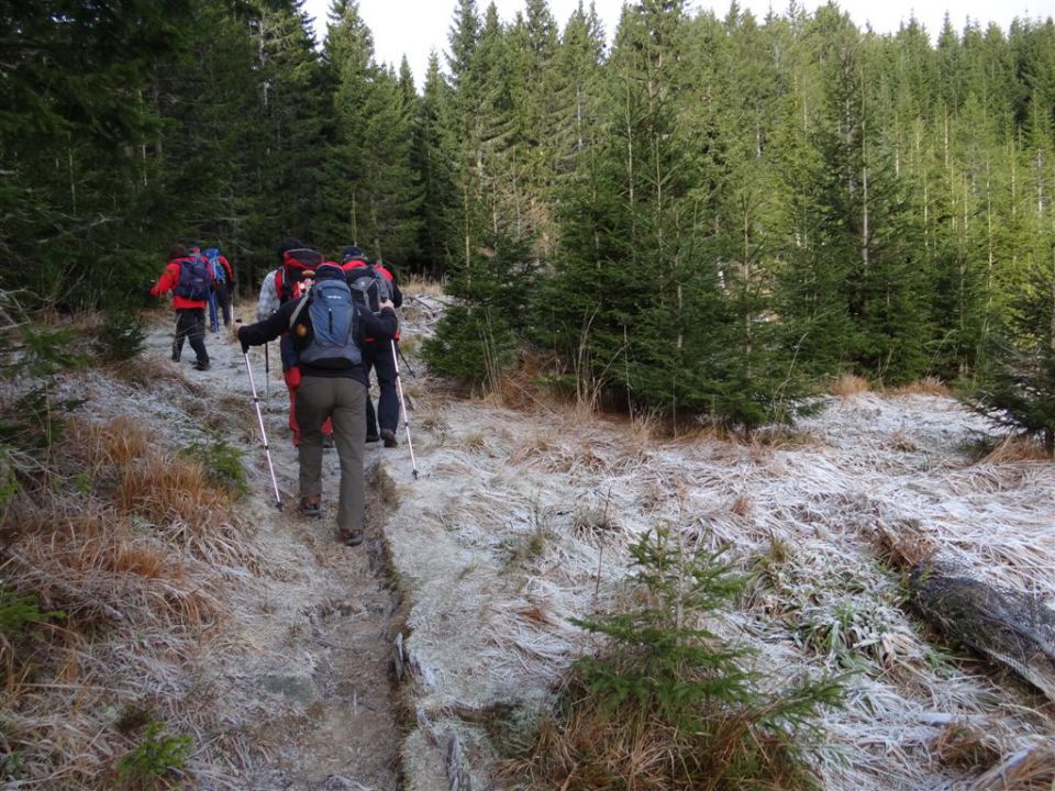 Pl. KOFCE in VELIKI VRH, 2088 m, 18.11.2012 - foto povečava