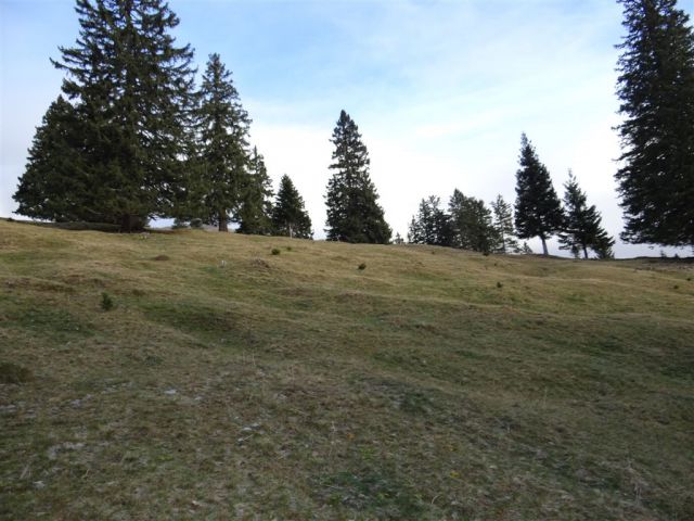 Pl. KOFCE in VELIKI VRH, 2088 m, 18.11.2012 - foto