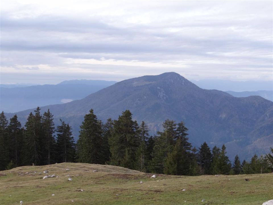 Pl. KOFCE in VELIKI VRH, 2088 m, 18.11.2012 - foto povečava