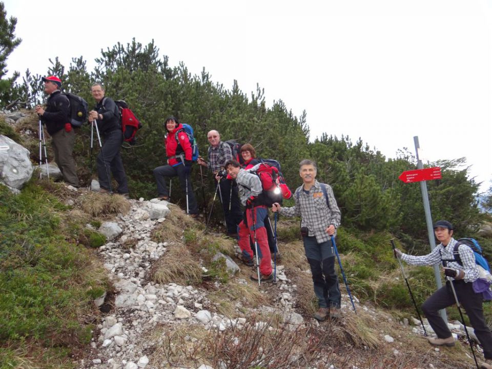 Pl. KOFCE in VELIKI VRH, 2088 m, 18.11.2012 - foto povečava