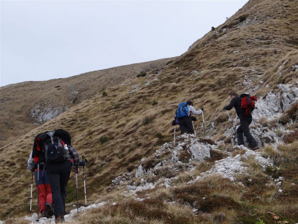 Pl. KOFCE in VELIKI VRH, 2088 m, 18.11.2012 - foto povečava