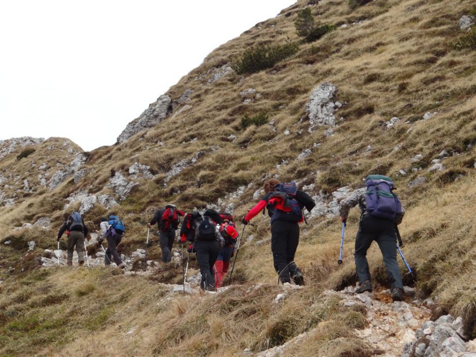 Pl. KOFCE in VELIKI VRH, 2088 m, 18.11.2012 - foto povečava