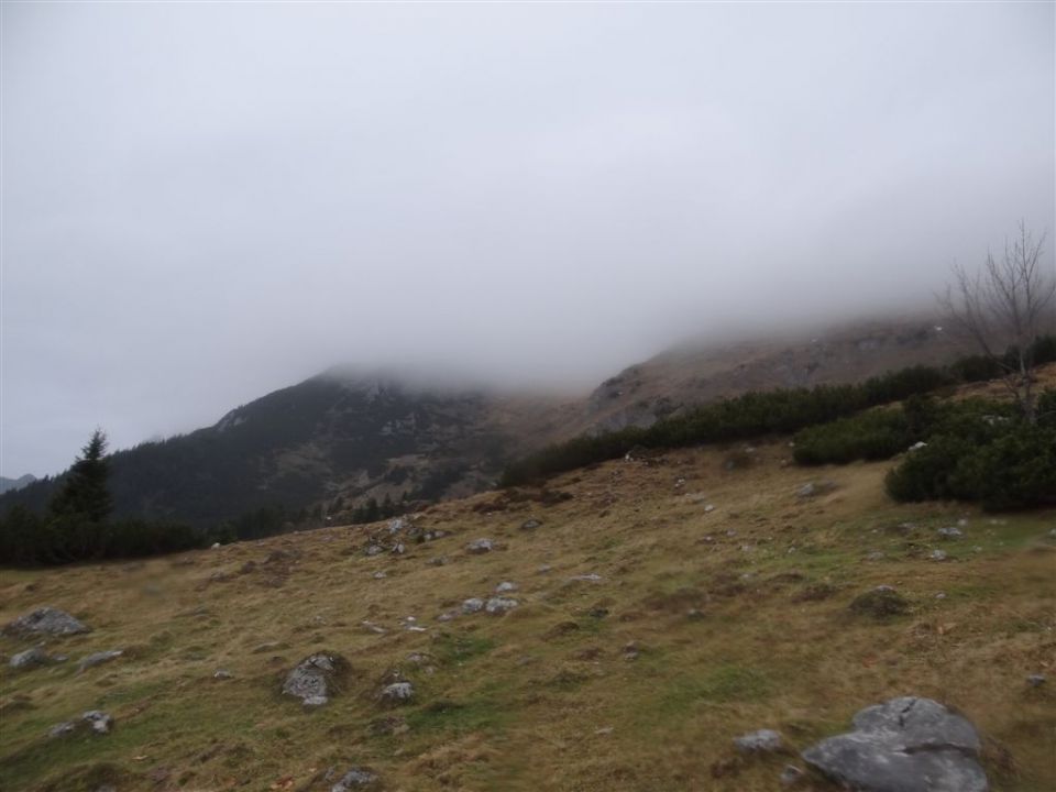 Pl. KOFCE in VELIKI VRH, 2088 m, 18.11.2012 - foto povečava