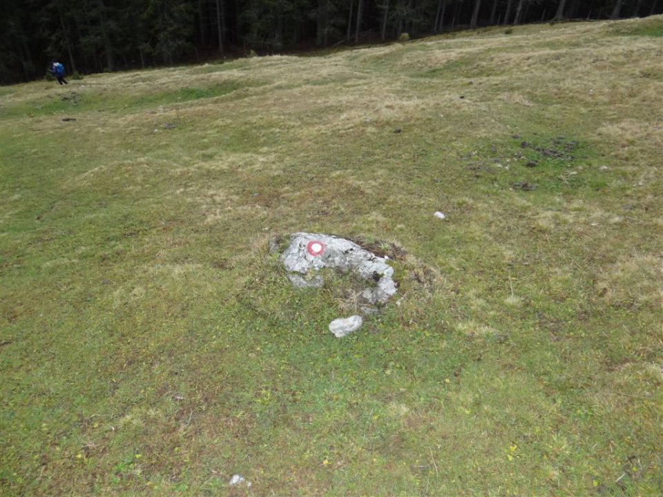 Pl. KOFCE in VELIKI VRH, 2088 m, 18.11.2012 - foto povečava