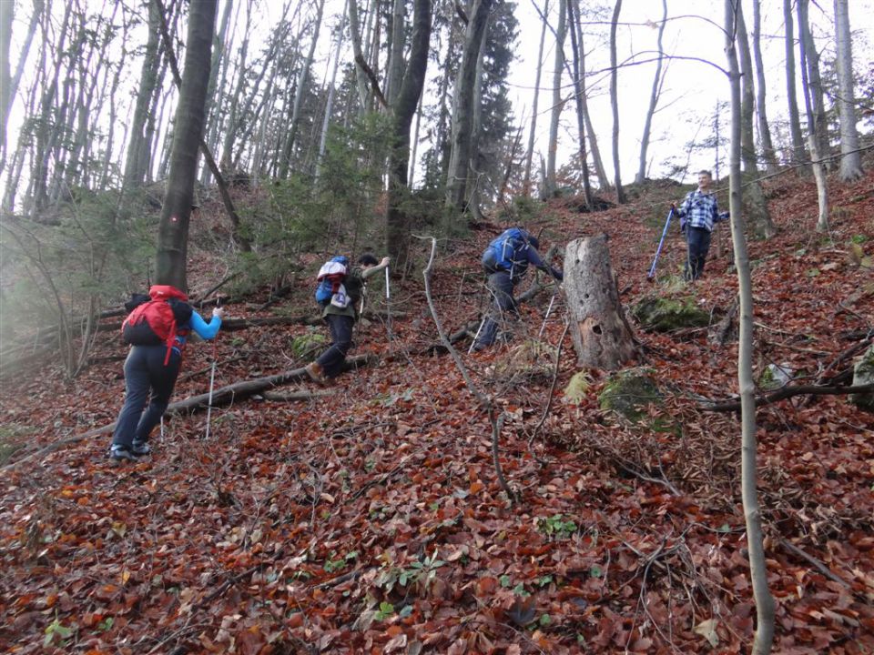 BRASLOVČE - KOČA NA ČRETI - GRAD ŽOVNEK, 2012 - foto povečava