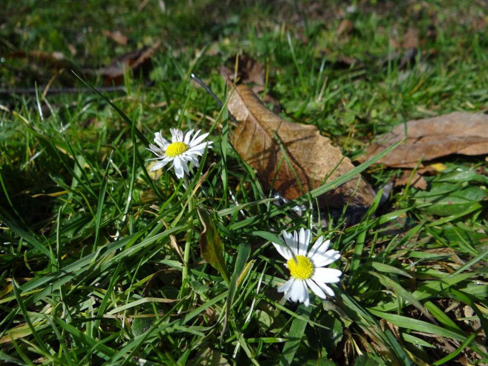 BRASLOVČE - KOČA NA ČRETI - GRAD ŽOVNEK, 2012 - foto povečava